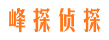 大新找人公司